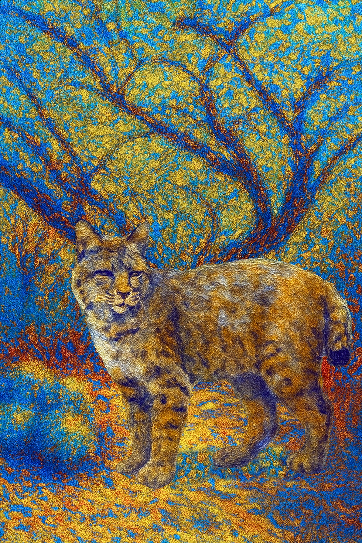 Silent Watcher — Desert Bobcat of the Catalina Foothills