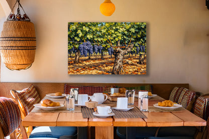 Harvest Rows — Napa Valley