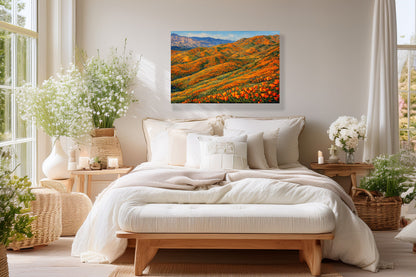 Golden Superbloom — Southern California