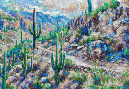 Path of Light — Sabino Canyon Phoneline Trail